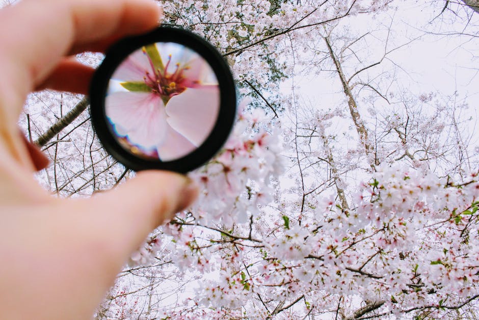 A magnifying glass inspecting a lightning bolt, representing website speed optimization